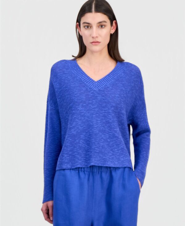 エイリーンフィッシャー レディース アウター ニット・セーター Vネック コットン リネン Eileen Fisher Womens Cotton Linen VNeck Sweater Blue S