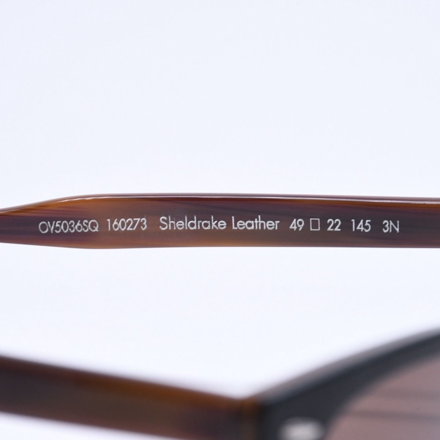 OLIVER PEOPLES オリバーピープルズ × ベルルティ プア ベルルティ