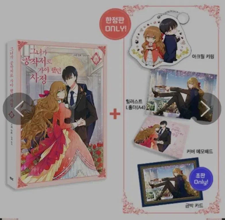 割引/セール 彼女 公爵家へ 行かなければならなかった 事情 / その工事 限定モデル 1 - 7 巻