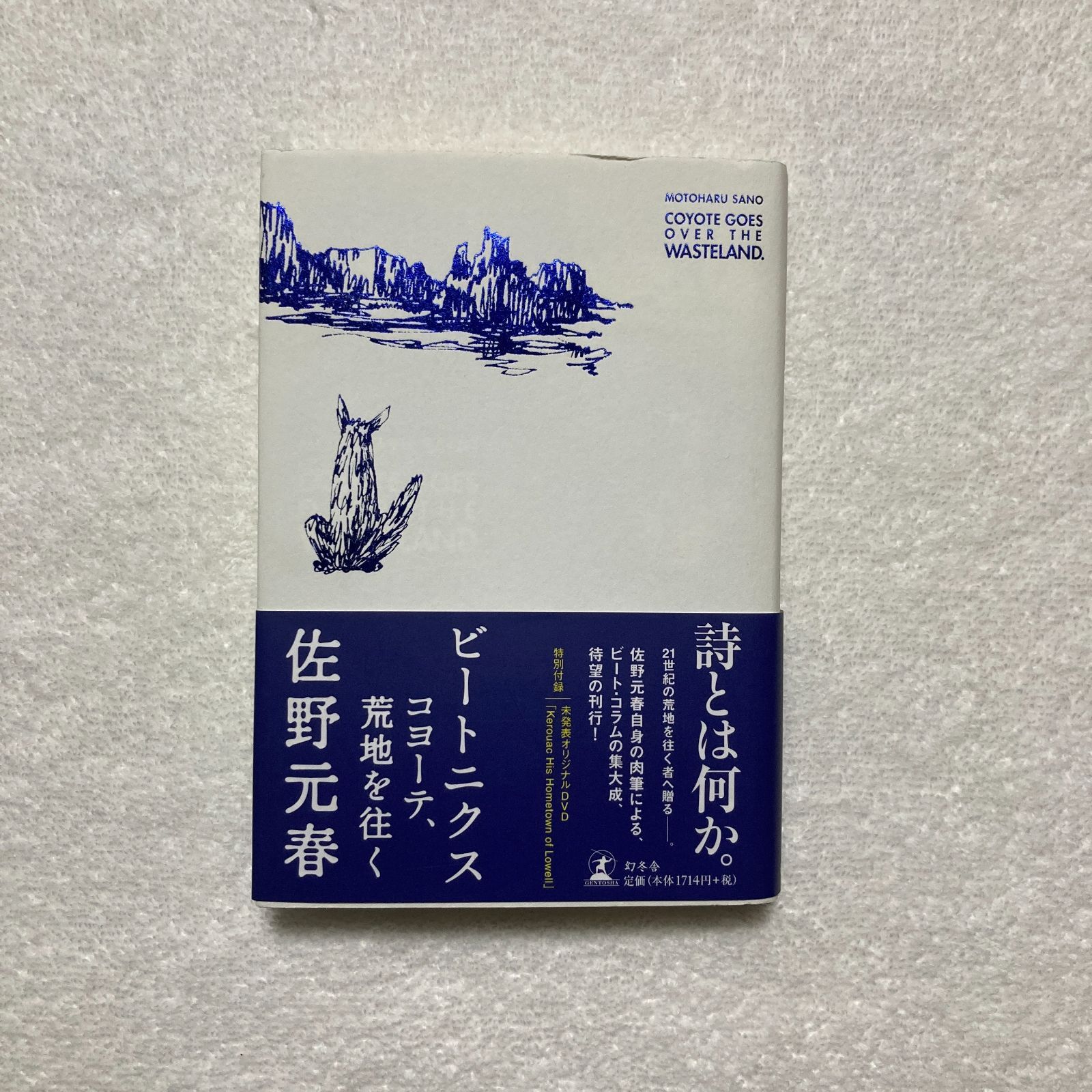 【本】佐野 元春 / ビートニクス コヨーテ、荒地を往く