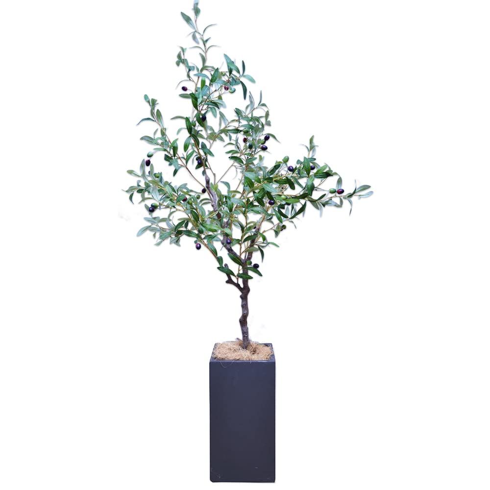 オリーブの木 人工観葉植物 160cm 光触媒 フェイクグリーン 鉢付 軽量ファイバーセメント ブラック GLS112 | 消臭抗菌抗ウイルス加工済み リアルな造花インテリア 枝の形を調整可能 店舗やオフィスに最適 玄関先までのお届け 鉢サイズ40x21xｍａ