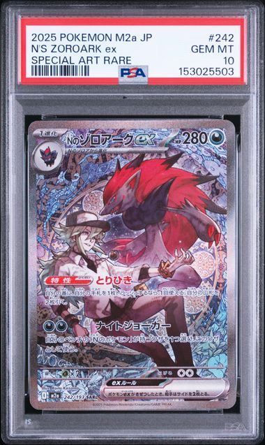 NのゾロアークSAR psa10 NのゾロアークSAR 【公式通販】