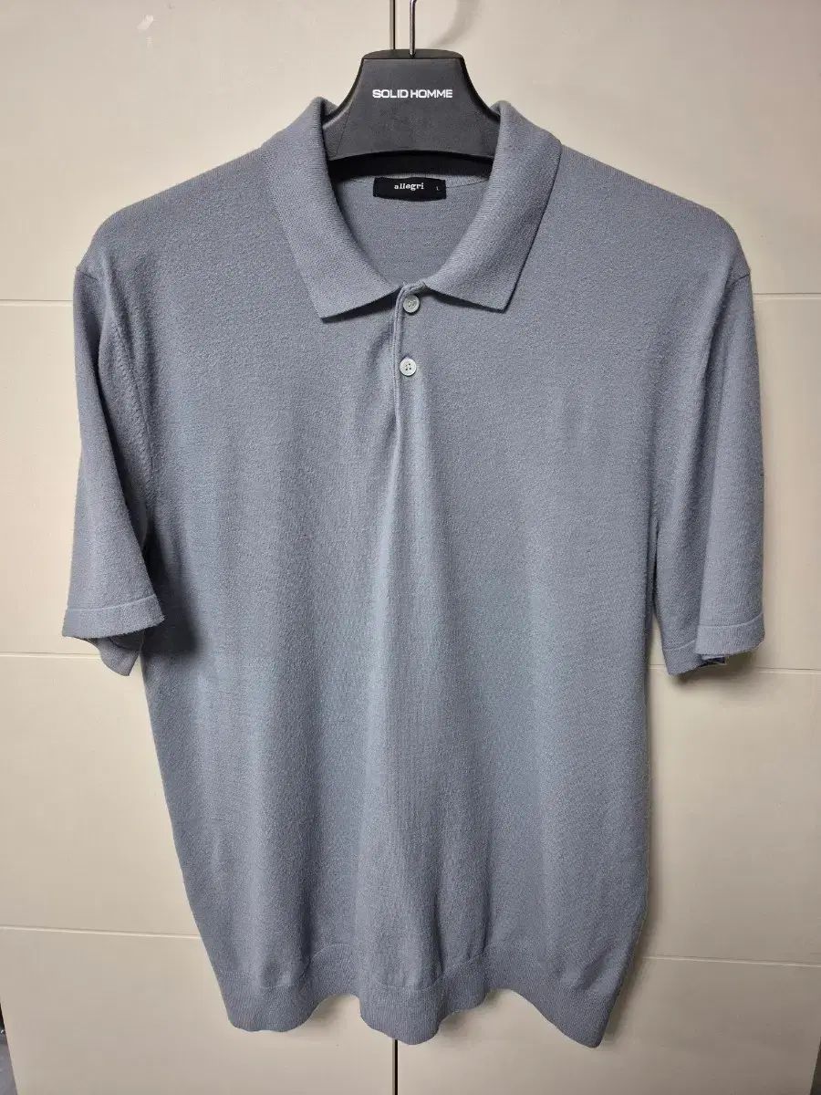 (L) アレグリ スカイブルー レーヨン ニット カラーTシャツ