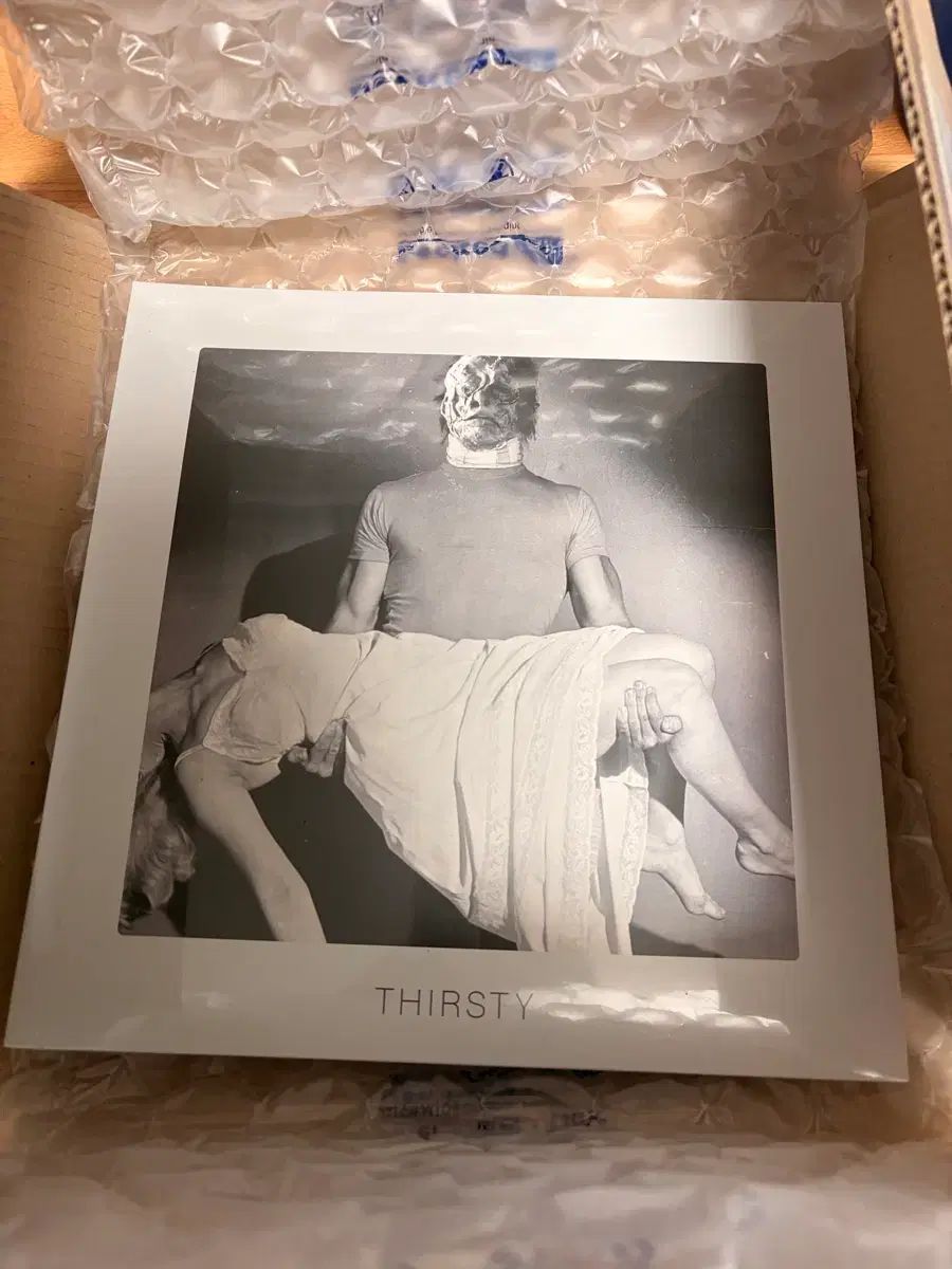 The Black Skirts(コムジョンチマ) thirsty LP 未開封 26,027円