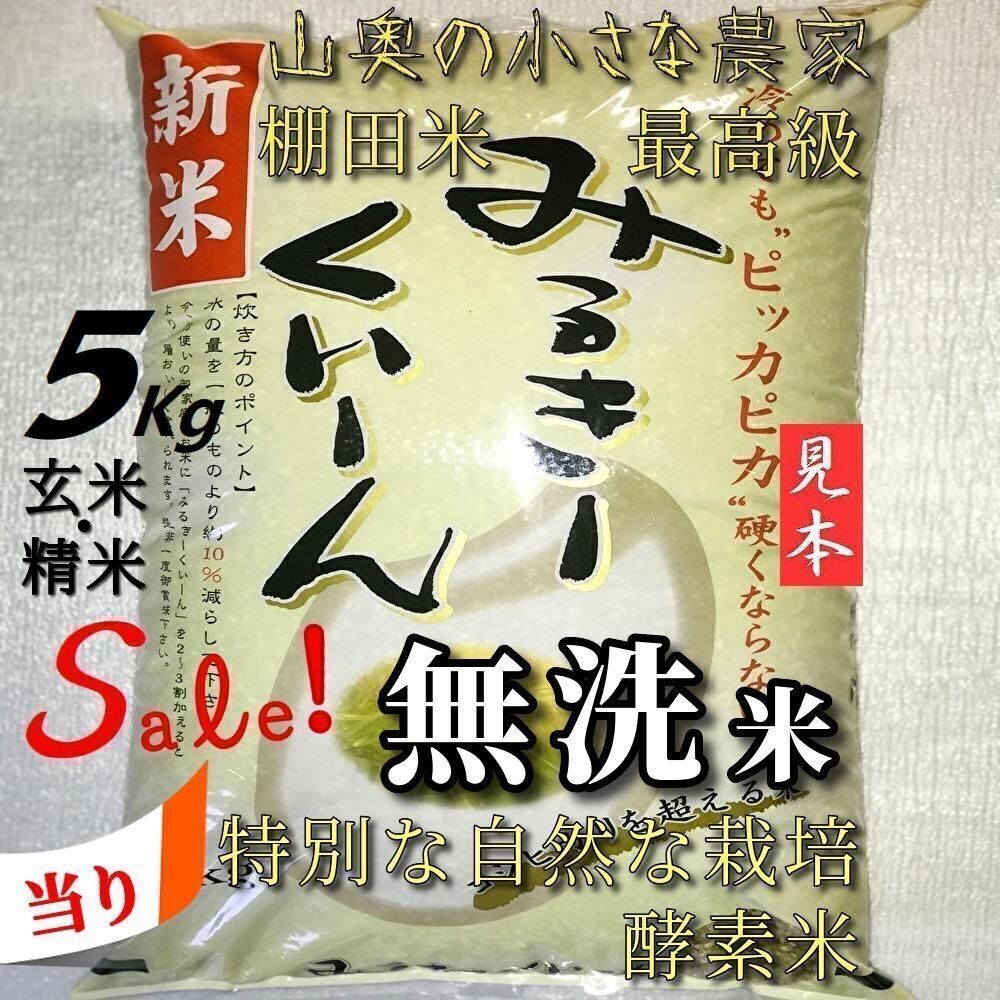SALE！最高級ミルキークイーン5kg 無洗米/玄米 - メルカリ