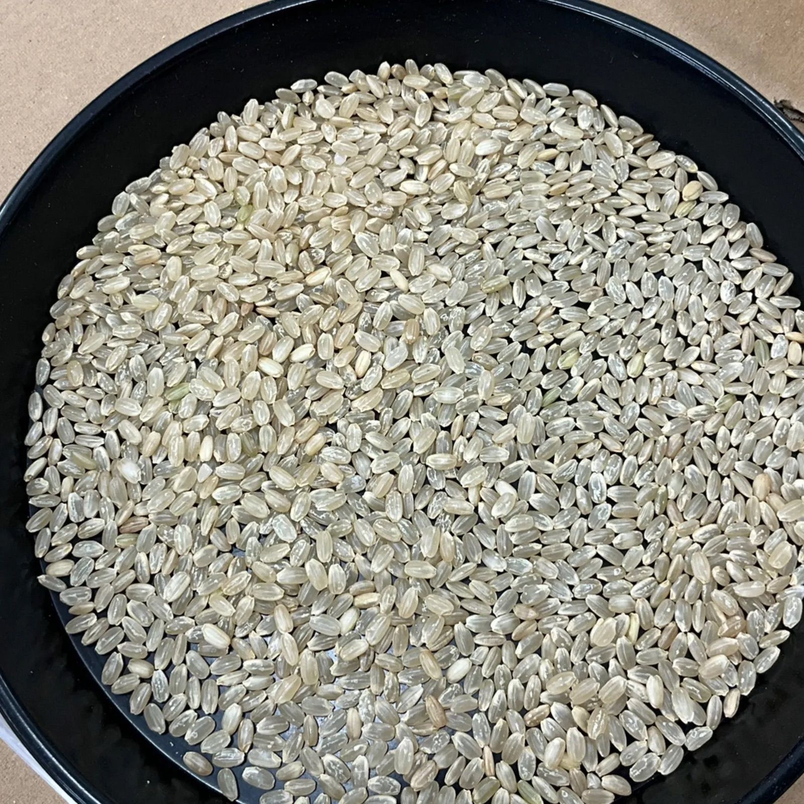 RIN [検査済]28年産玄米24kgヒノヒカリ 令和7年産 岡山県産 ヒノヒカリ 玄米 24kg - メルカリ