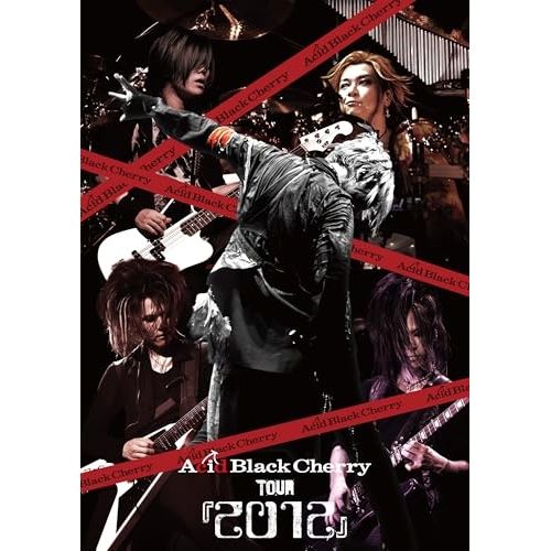 【DVD】Acid Black Cherry / Acid Black Cherry TOUR 『2012』(2CD付) (AVBD-32341)