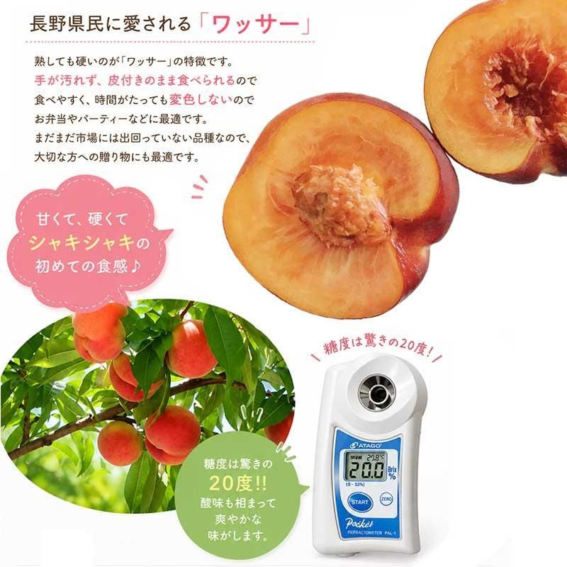長野産ワッサーと桃ミックス　4.9キロ 食品 長野産ワッサーと桃ミックス 4.9キロ