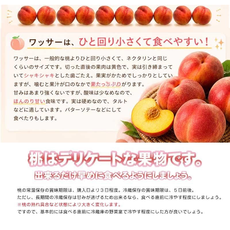 ワッサー】長野県産 約3kg 10個前後 新品種桃 - メルカリ