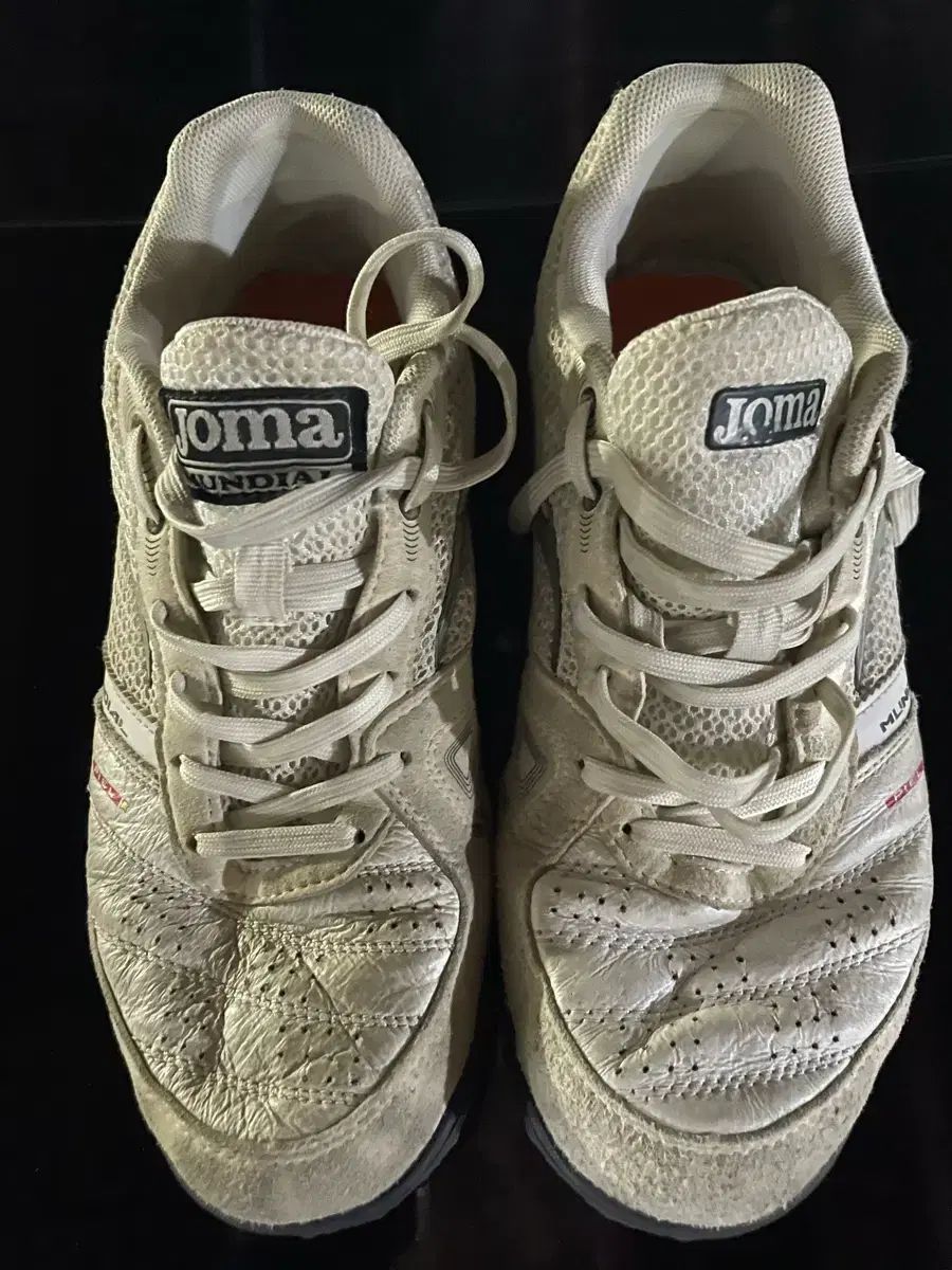 Joma 245
