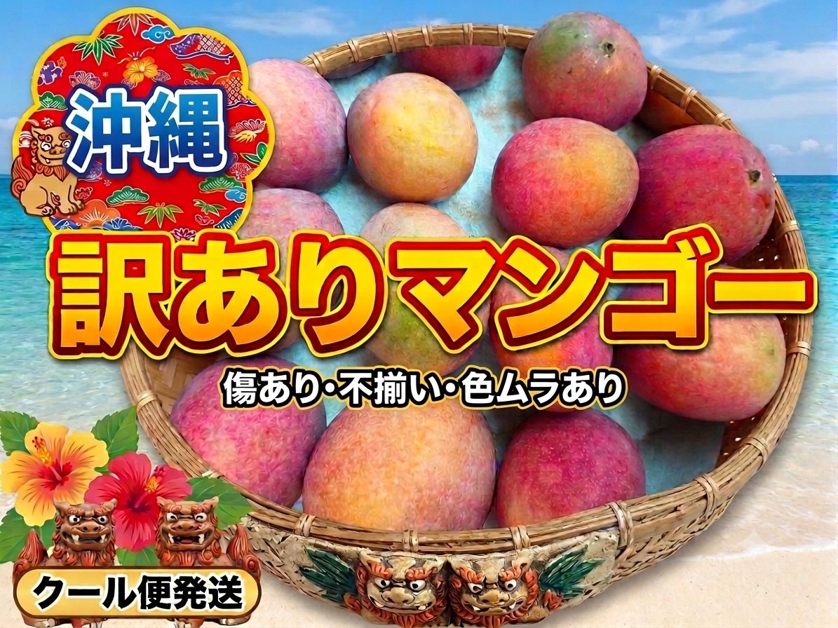 沖縄県産　3kg 4〜6玉（箱込）マンゴー甘〜い　クール便込み　訳あり 訳あり/加工用】沖縄県産 マンゴー 約2.5kg（箱込み） 7玉（農家直送