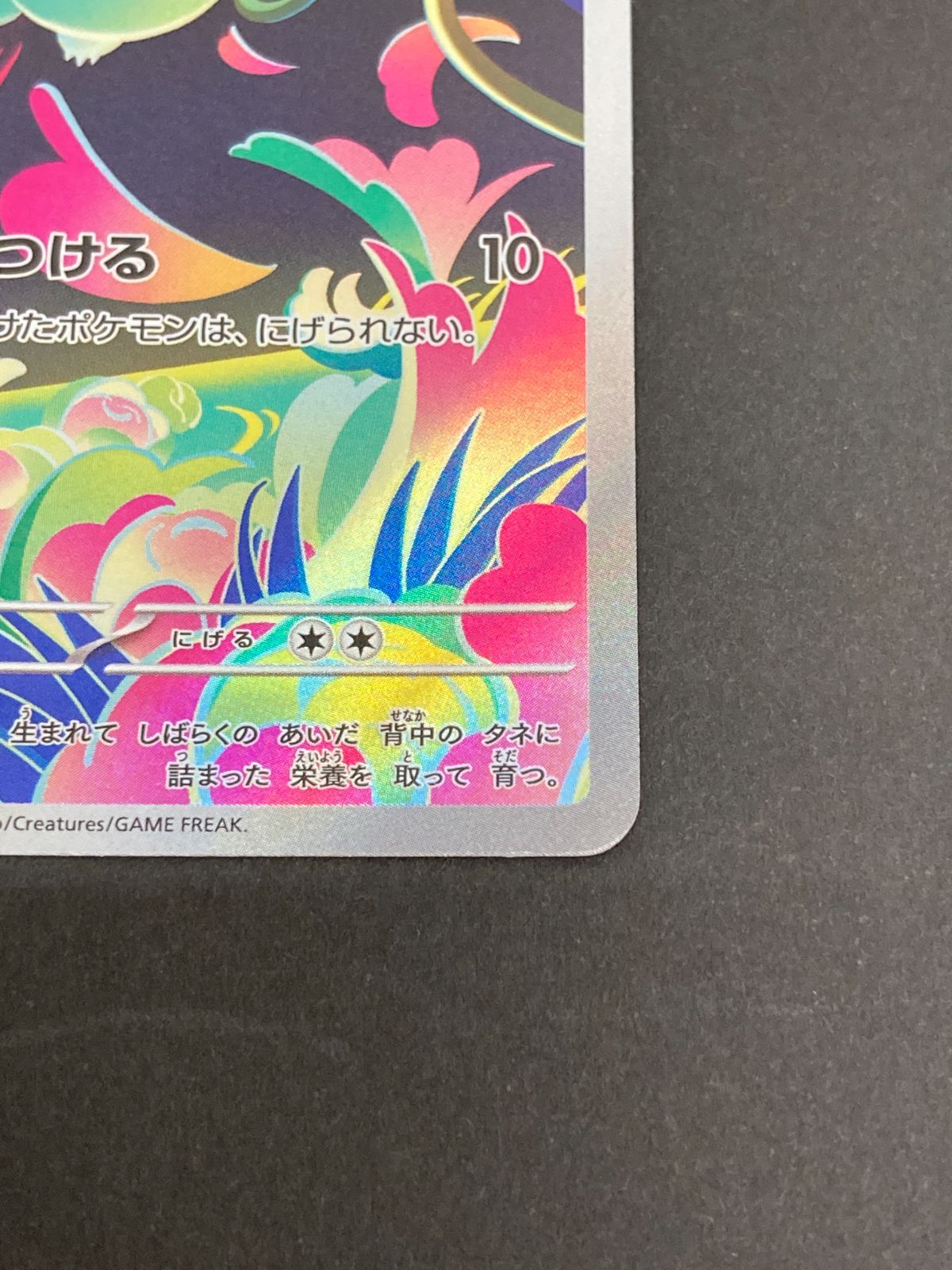 J080[PK]Y8167(カード) ポケモンカードゲーム フシギダネ 064/063 AR