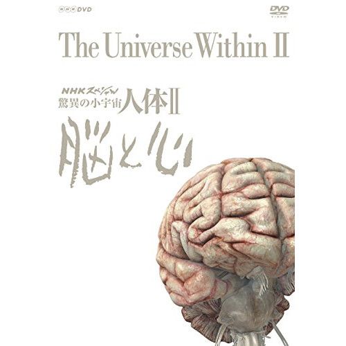 【DVD】NHKスペシャル 驚異の小宇宙 人体II 脳と心 DVD BOX (NSDX-23207)