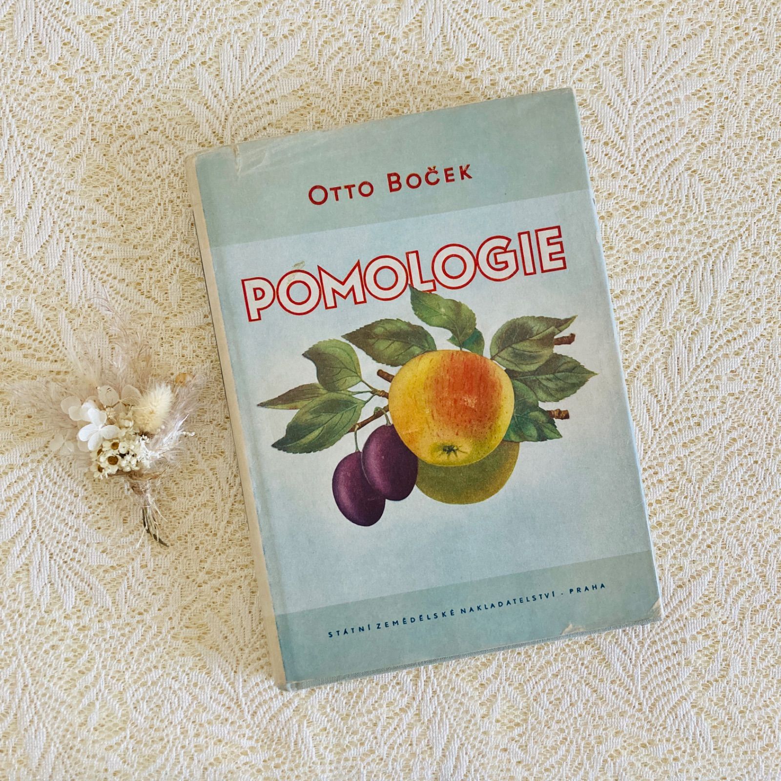 チェコのヴィンテージ果実図鑑 Pomologie 1953年初版 やわらかく写実的