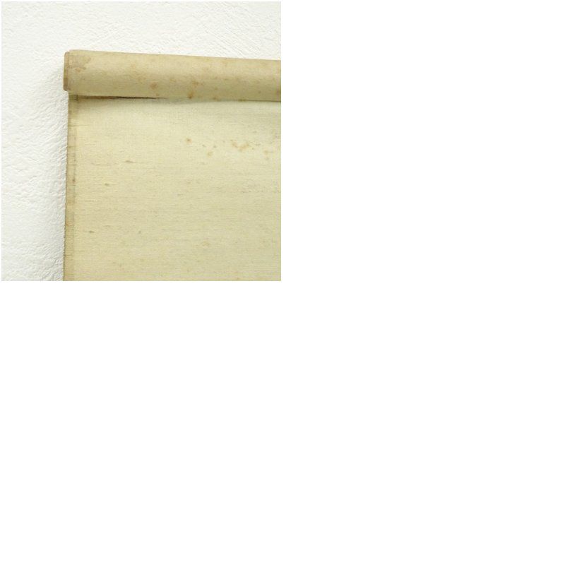 森戸國次筆　さざんか　肉筆絹本掛軸（保護箱） 掛け軸 床の間 書 おしゃれ 絵画 表具 芸術 茶道 年中掛け インテリア 茶掛 掛物 和室