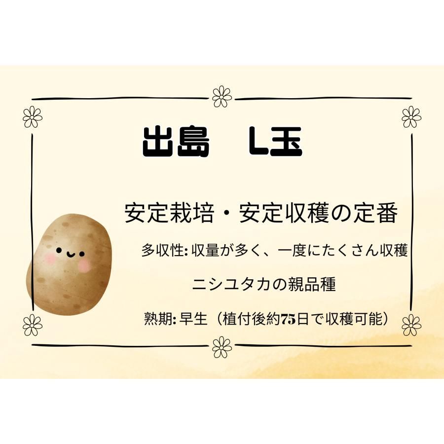 出島 デジマ 10Kg L玉 ジャガイモ じゃがいも 栽培用 秋ジャガ 種芋 切り口傷の保護剤1袋添付サービス