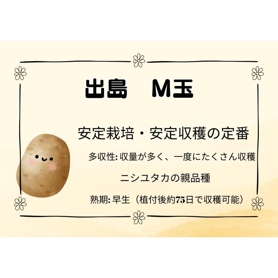 出島 デジマ M玉 10Kg 種芋 ジャガイモ じゃがいも 栽培用 秋ジャガ 切り口傷の保護剤1袋添付サービス