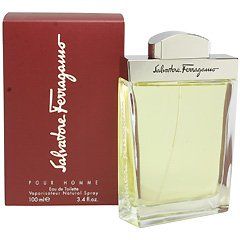 【フェラガモ】フェラガモ プールオム EDT・SP 100ml (並行輸入品)pms