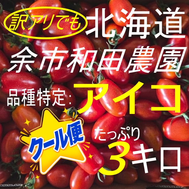 北海道産ミニトマト アイコ 3キロ - メルカリ
