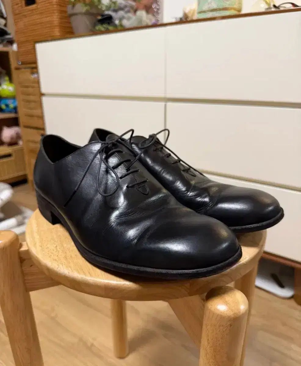 ペトロソーラウム petrosolaum ホールカット 41