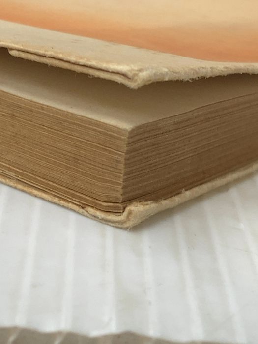 https://assets.mercari-shops-static.com/-/large/plain/2JUg7u25kZUu7KnGG2PFSC.jpg@jpg