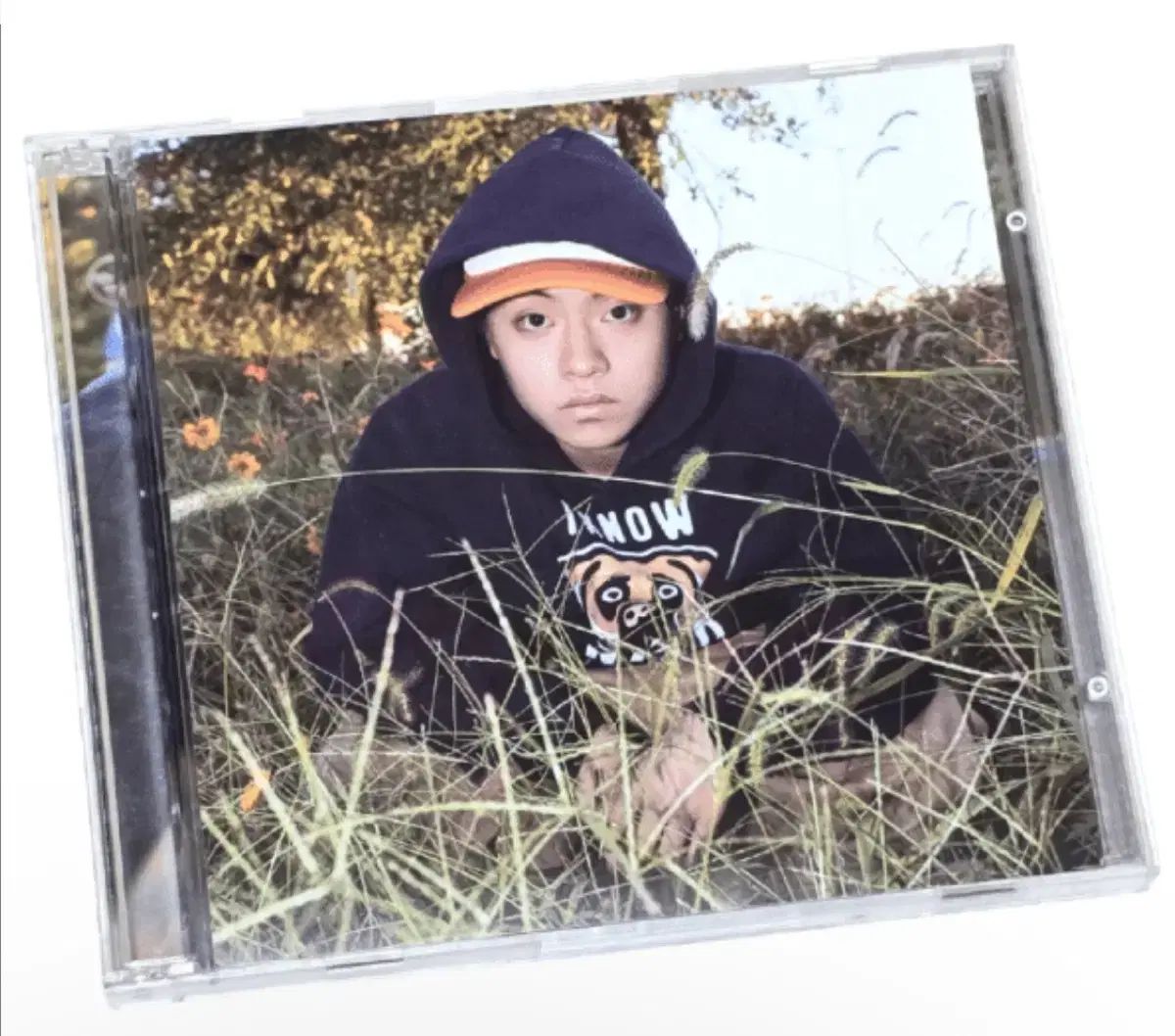 購入)율음 cicada シカダ cd