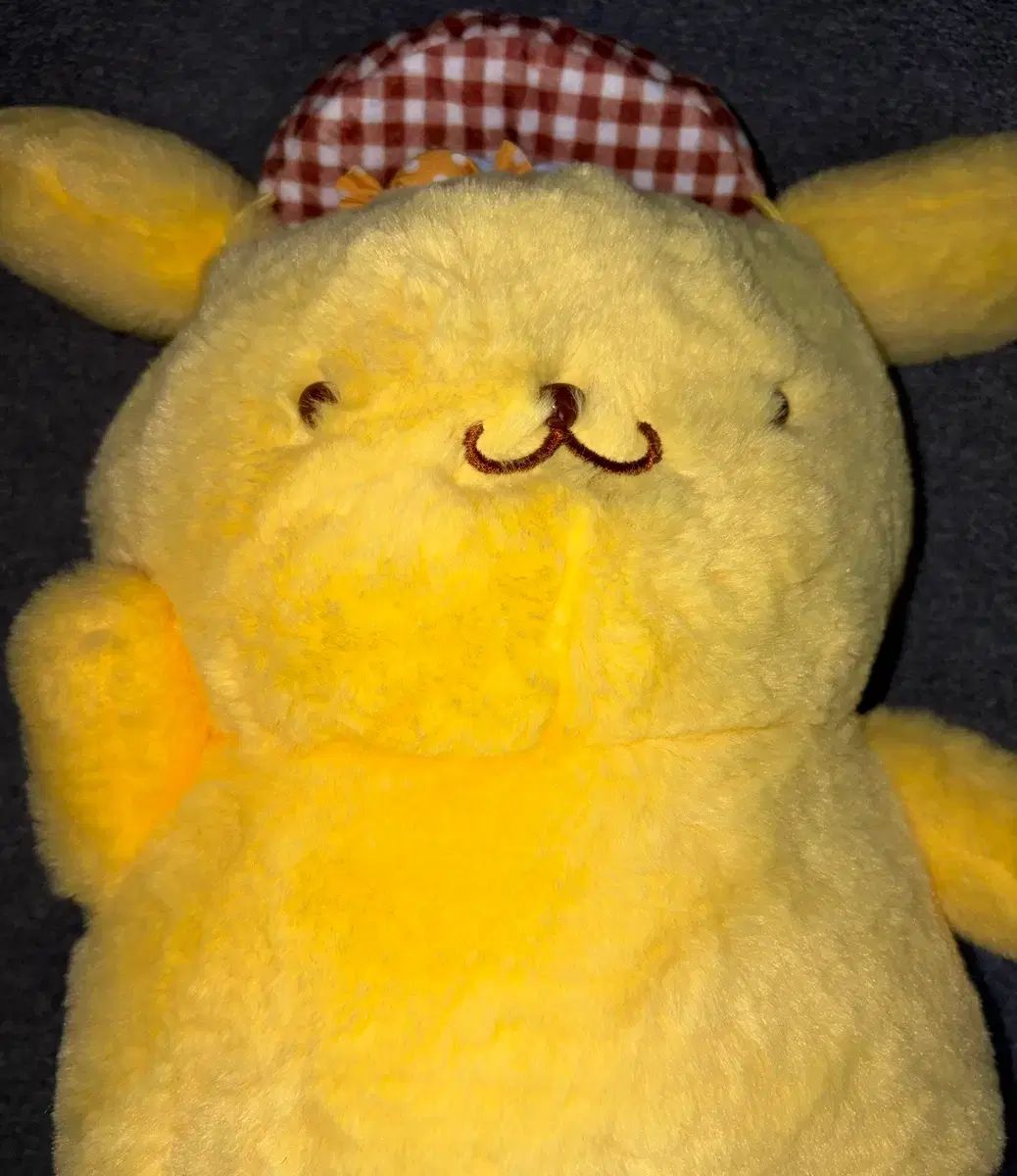 ポケットモンスターRUN チェジュ金メダル ピカチュウ ぬいぐるみ
