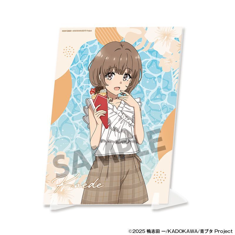 青春ブタ野郎シリーズ A5 ビジュアルアクリルプレート バカンスver. 予約】【新品】青春ブタ野郎シリーズ 描き下ろしビジュアルアクリル