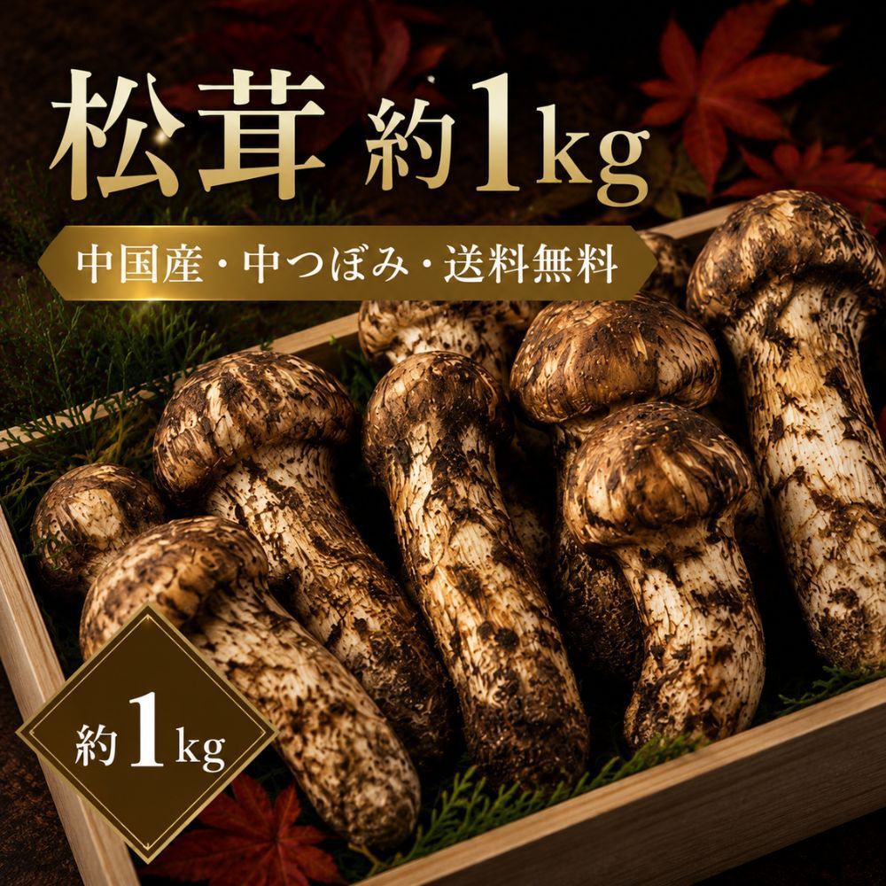 中国産 松茸 中つぼみ 約1kg 送料無料 秋の味覚 業務用 家庭用 贈答用