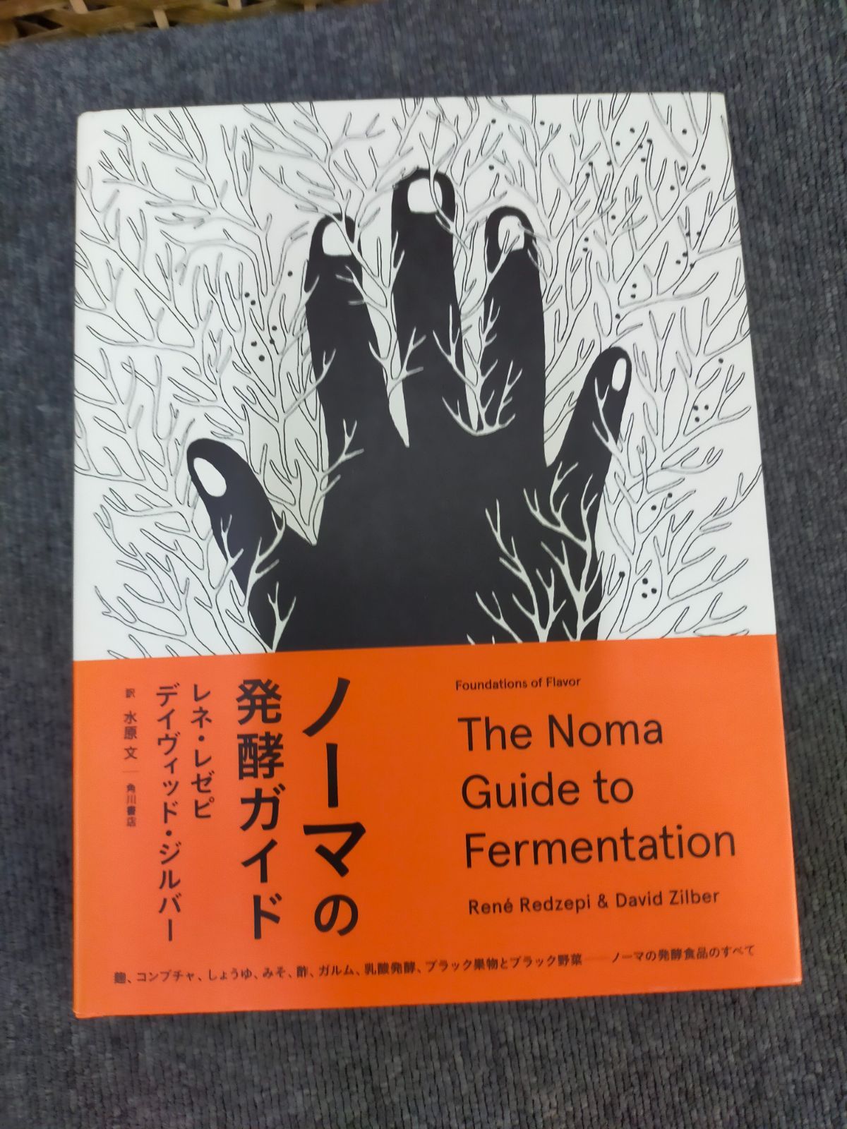 ノーマの発酵ガイド[Book]