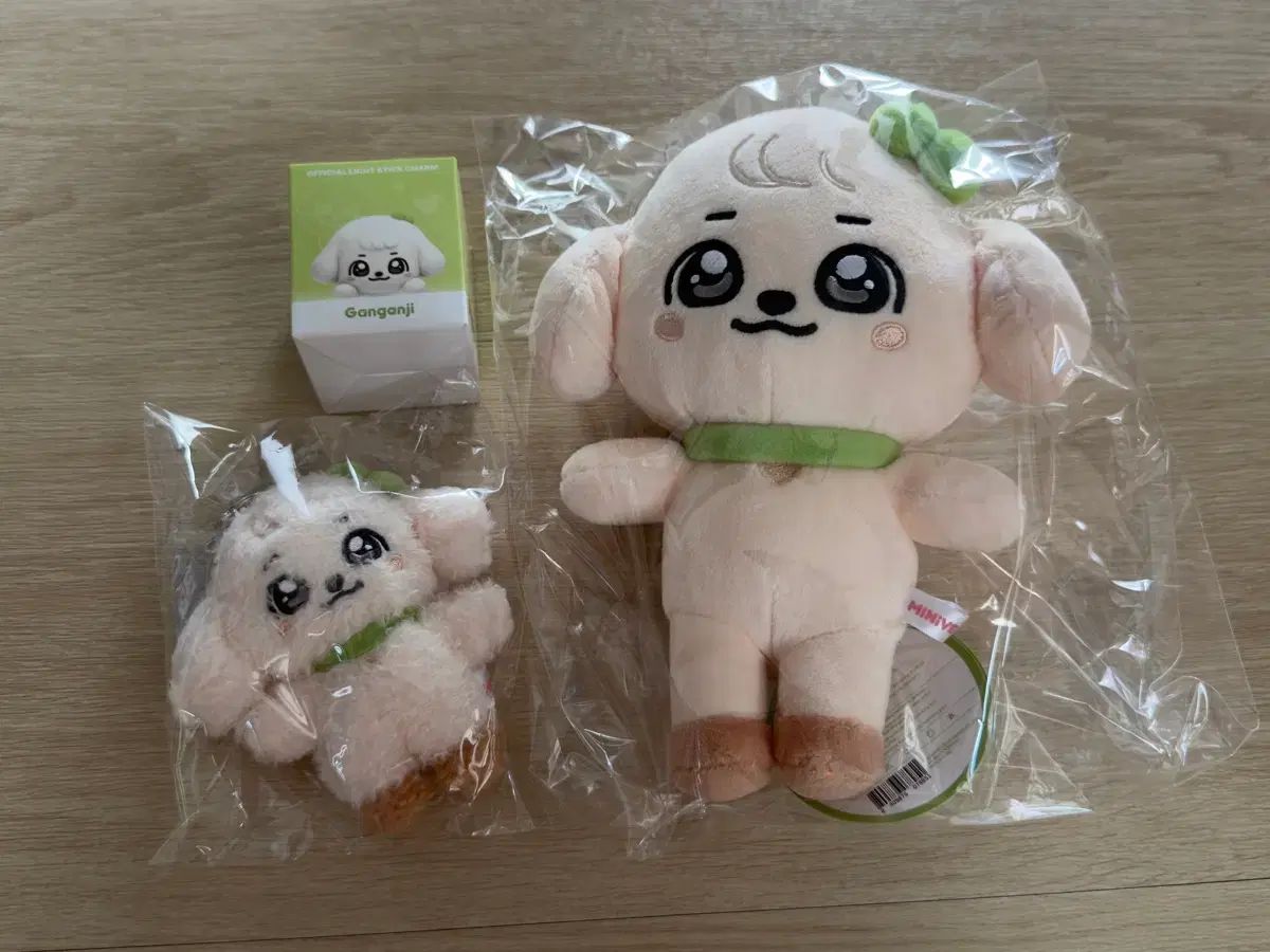 IVE（アイヴ） ミニヴ ポップアップ ユジン(YUJIN) カンアンジ(GANGANJI) SET セット