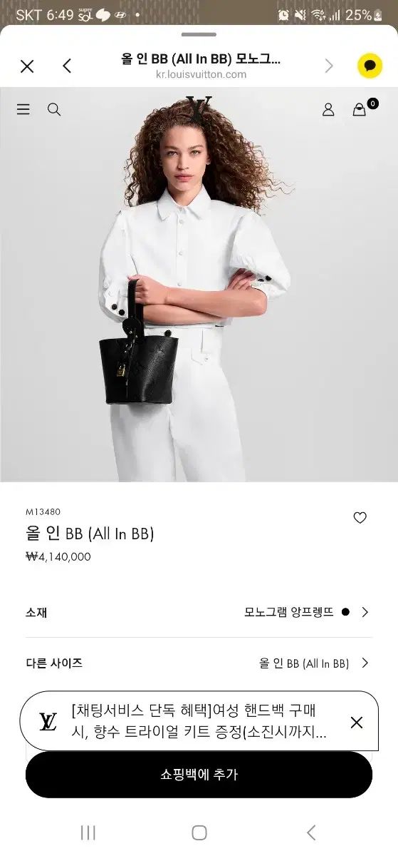 Louis Vuitton ルイヴィトン ALL IN BB