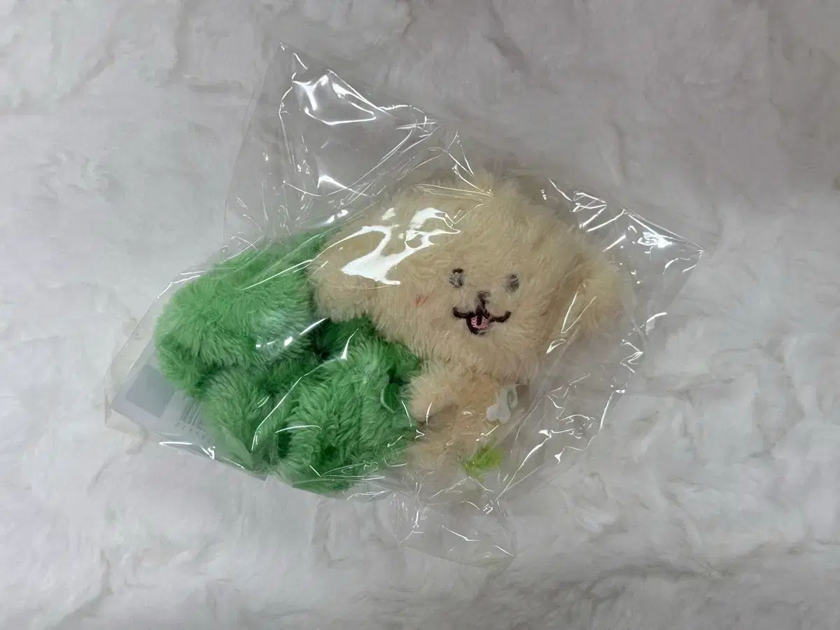 댕트 SCRUNCH ジェヒ デヨン 未開封