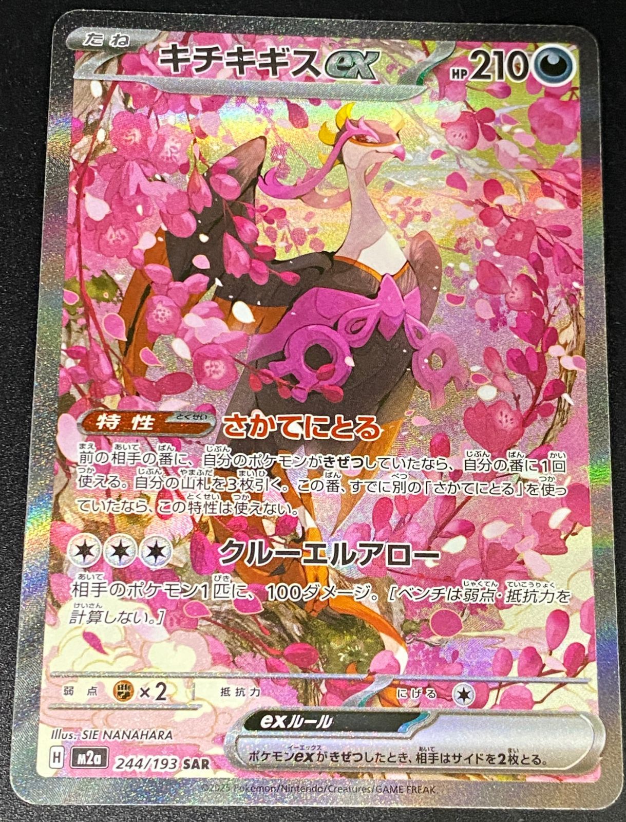 ポケモンカード ポケカ キチキギスex SAR M2a-244 193 ハイクラス