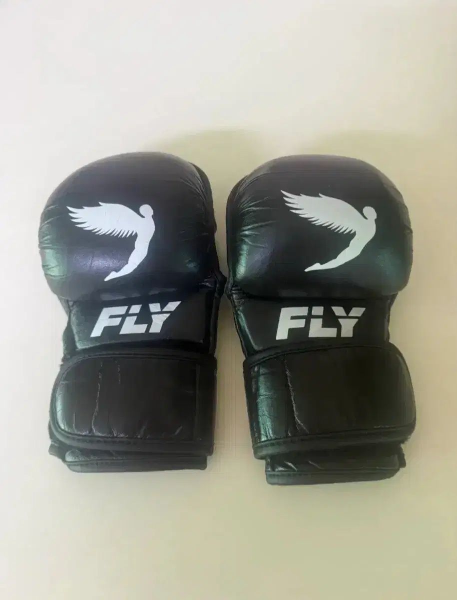 フライfly MMAグローブ