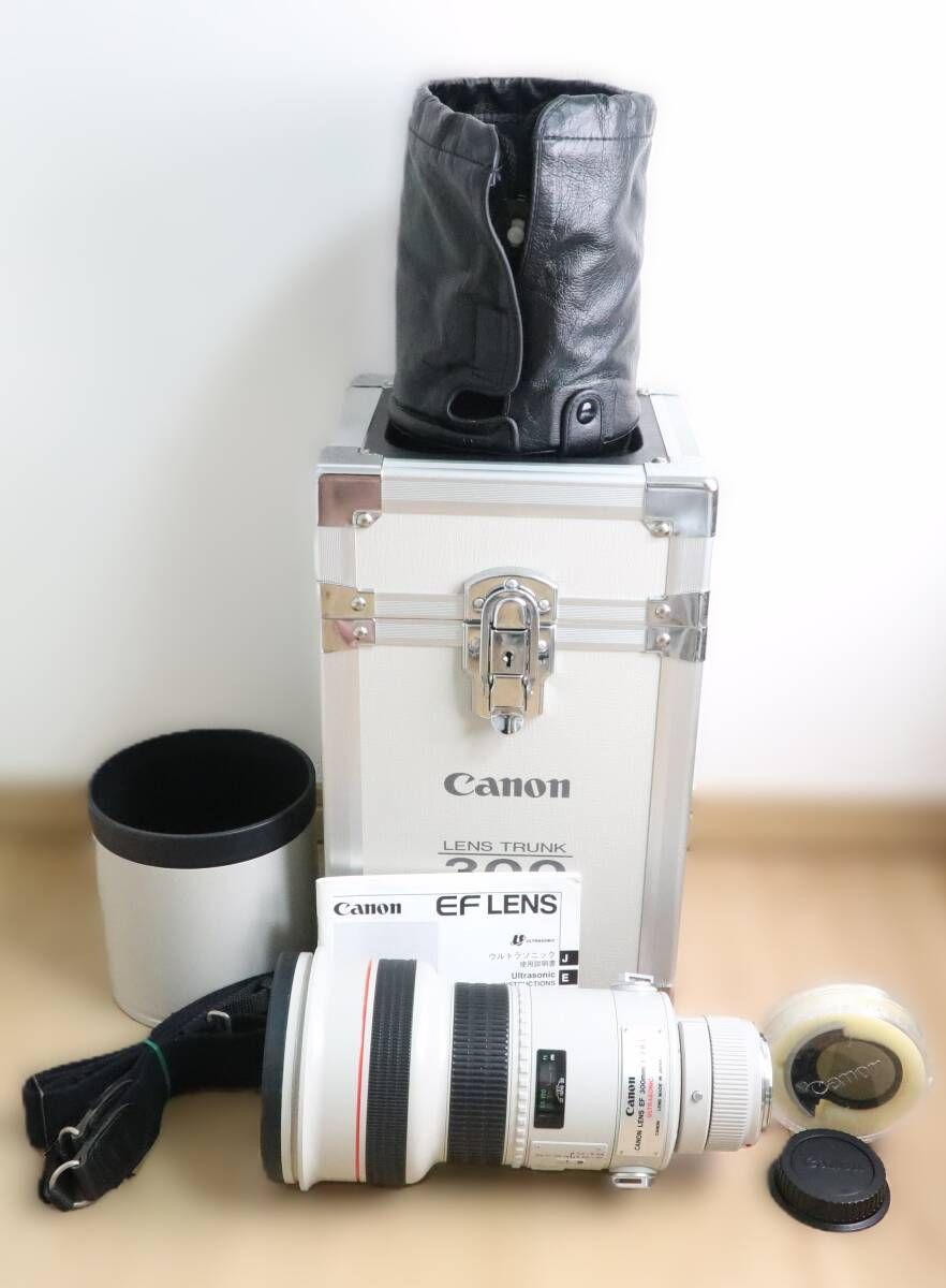 ★極上品★キヤノン CANON EF 300mm F2.8 L USM 説明書・ストラップ・ケース付★　I0715＃5477