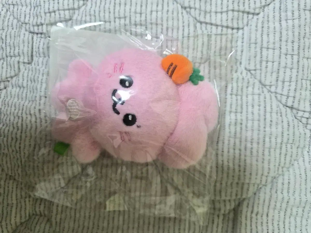 プロミスナイン(fromis_9) パク・ジウォン(PARK JIWON) ぬいぐるみ 出品