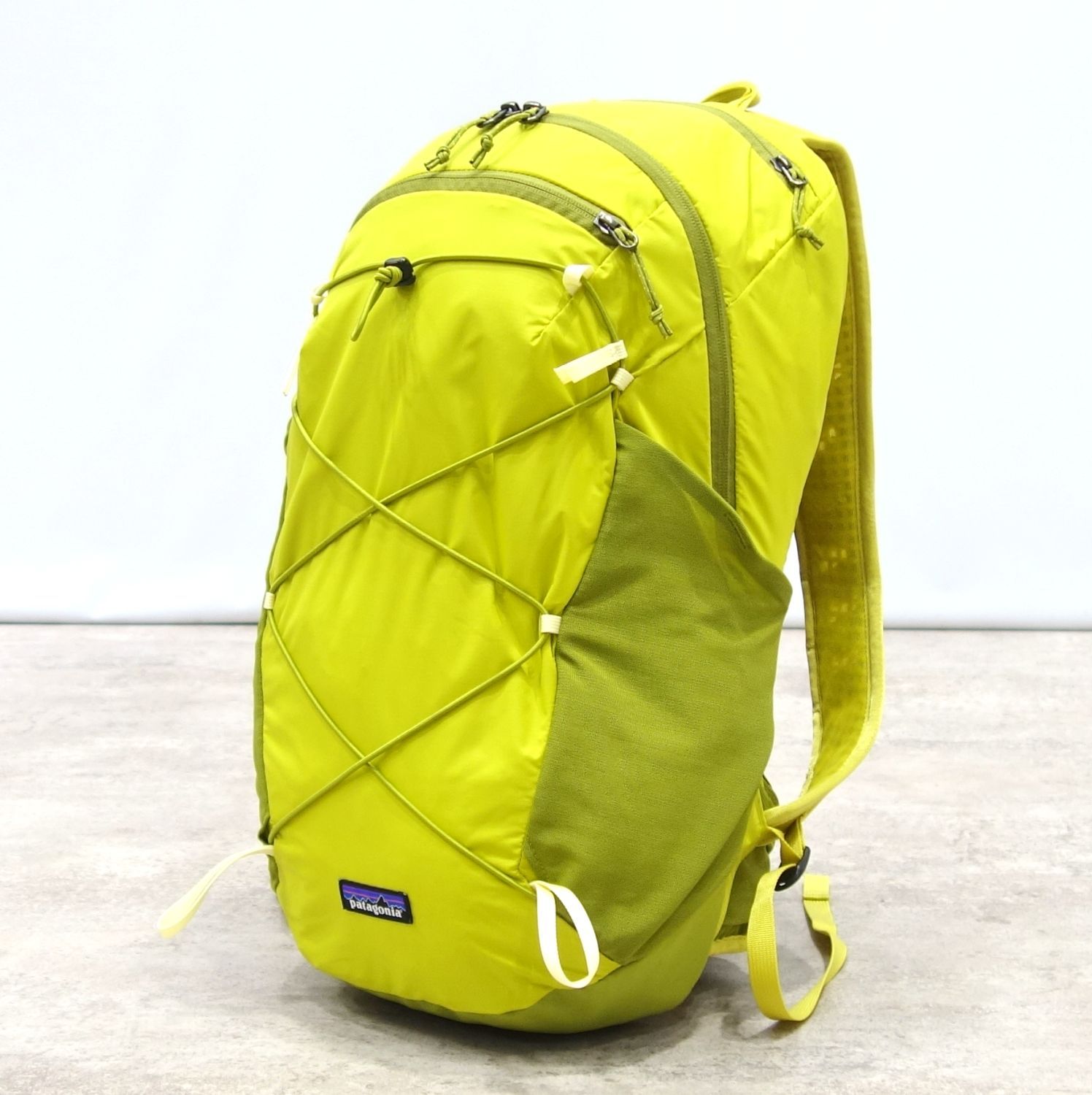 美品 パタゴニア PATAGONIA リュック デイパック テラヴィア パック