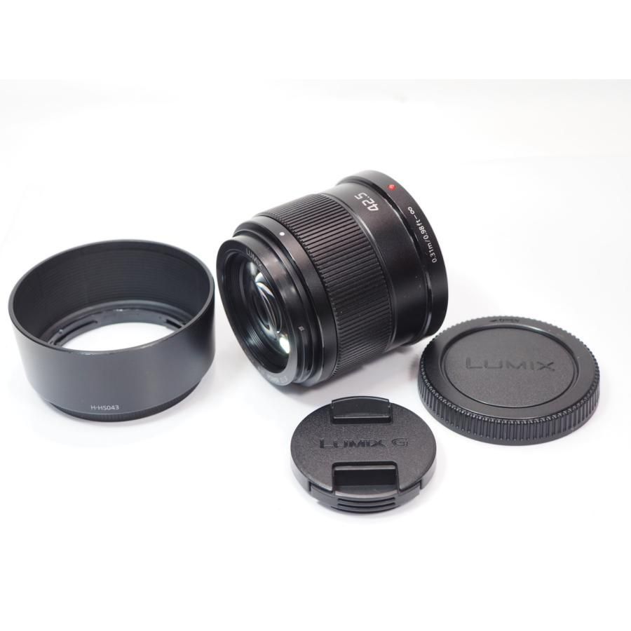送料無料 作動確認済 Panasonic LIMIX G 45mm F1.7 ASPH POWER O.I.S H-HS043 フード付 レンズ パナソニック [管PN9315