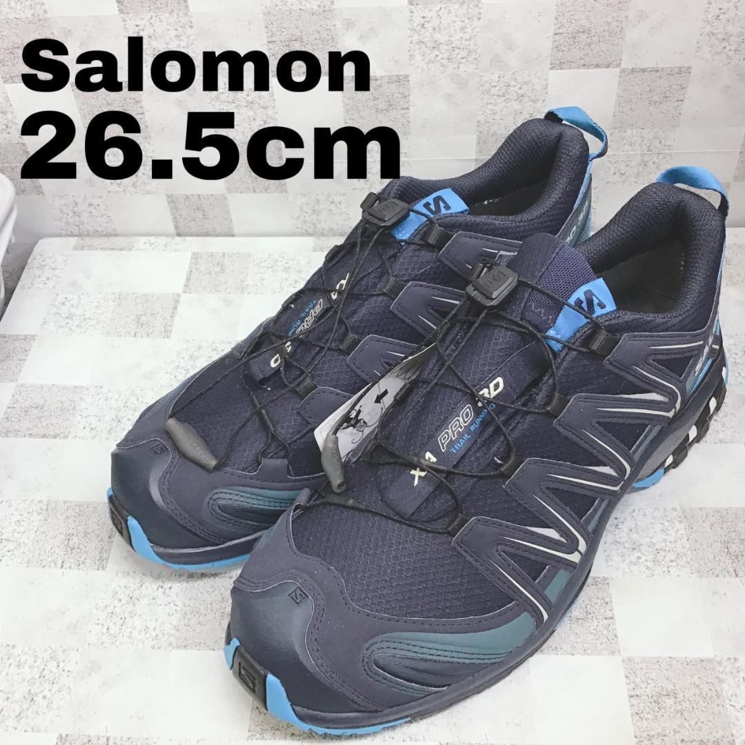 Salomon XA PRO 3D GORE-TEX 26.5cm 109