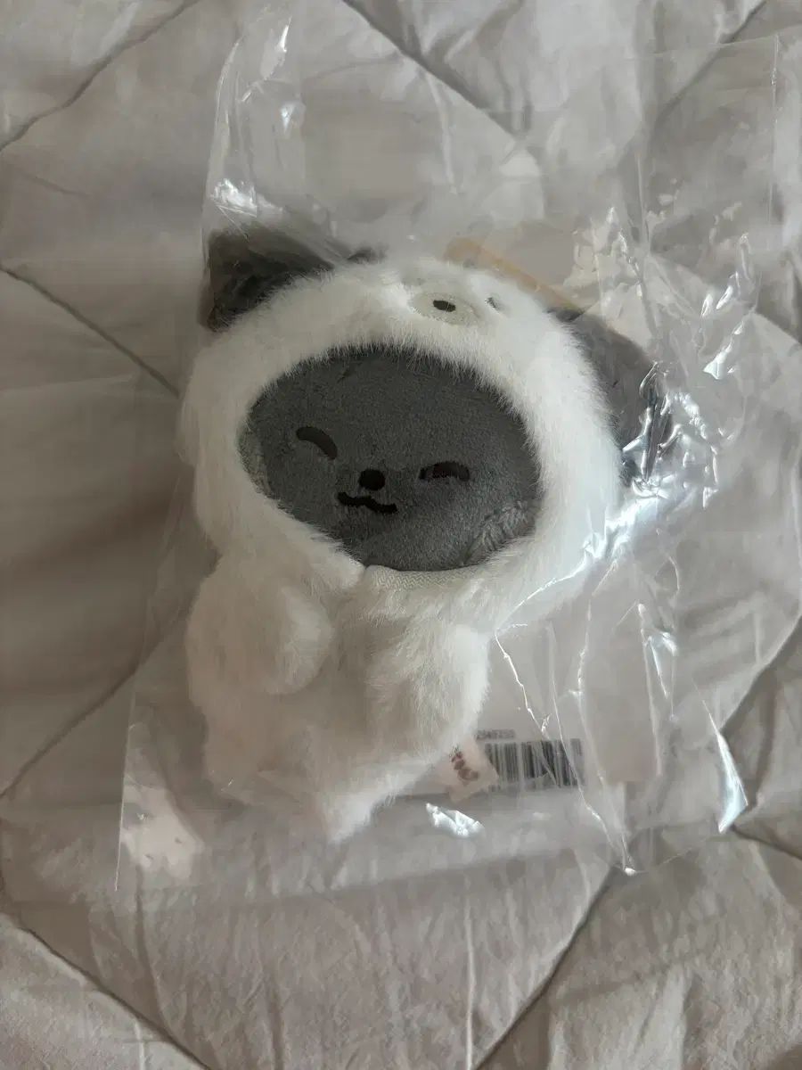 マグネット ウンニーニ