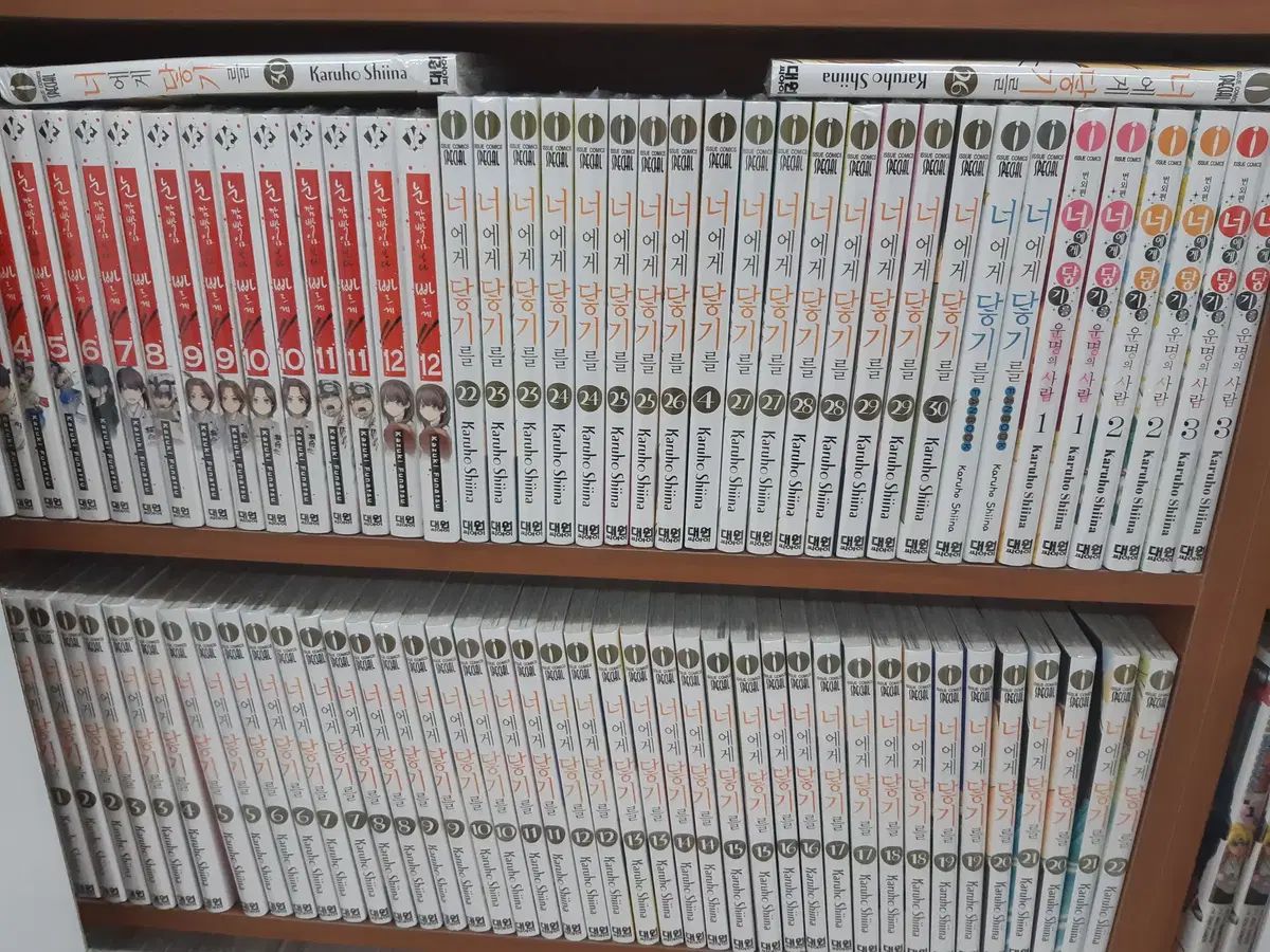 あなたに 君に届け 1 - 30 ファンブック含む 全 31 巻 完結 未開封 漫画がすごく多い プロ安全店舗 19,553円