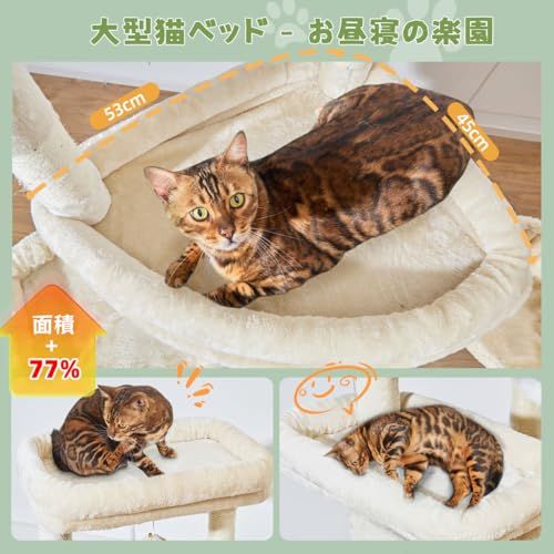 Taoqimiao キャットタワー 高さ 180cm 大型猫用 多頭飼い 特大 3 段