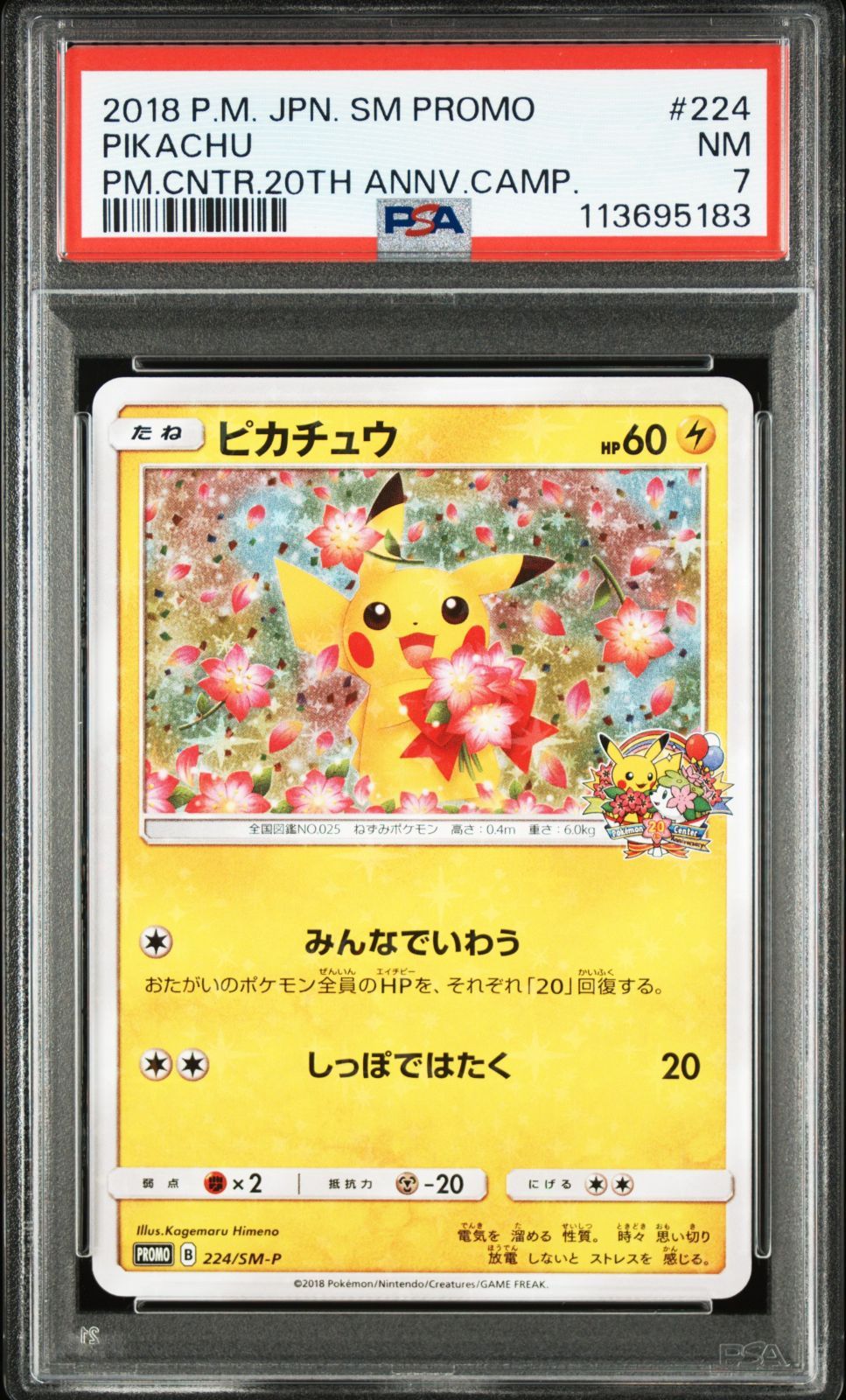 【送料無料】ポケモンカード ピカチュウ PROMO PSA7 PSA鑑定 224/SM-P