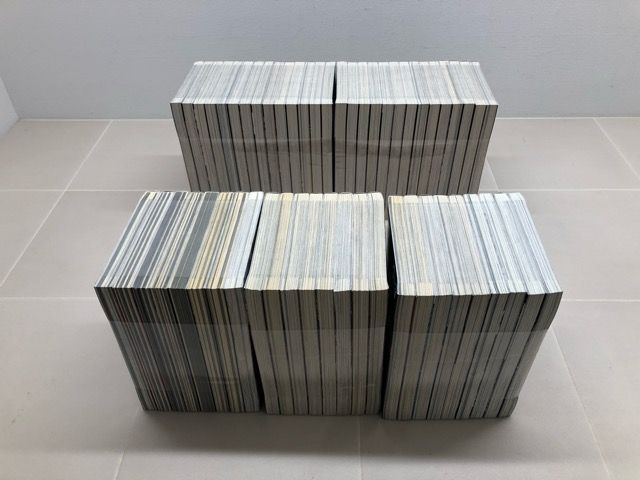 ドンケツ全28巻➕️外伝1-8巻➕️2章1-17巻➕️ビリケツ全2巻