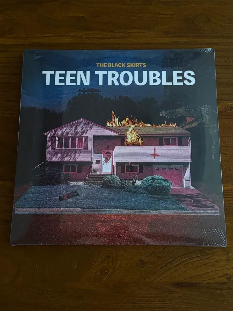 The Black Skirts(コムジョンチマ) teen troubles LP 未開封 23,663円