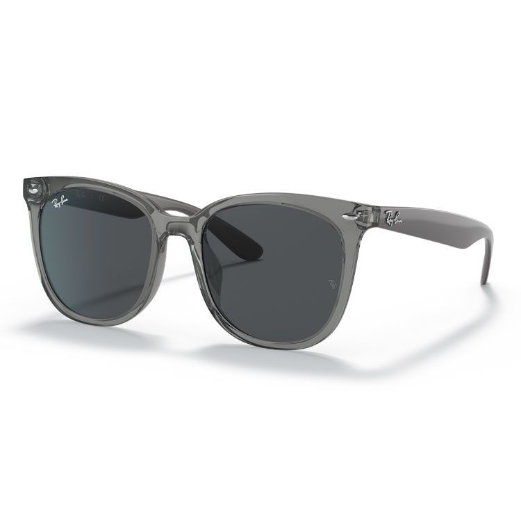 【訳あり商品】レイバン サングラス RB4379D Ray-Ban RB4379D 659987 55 19 日本正規品
