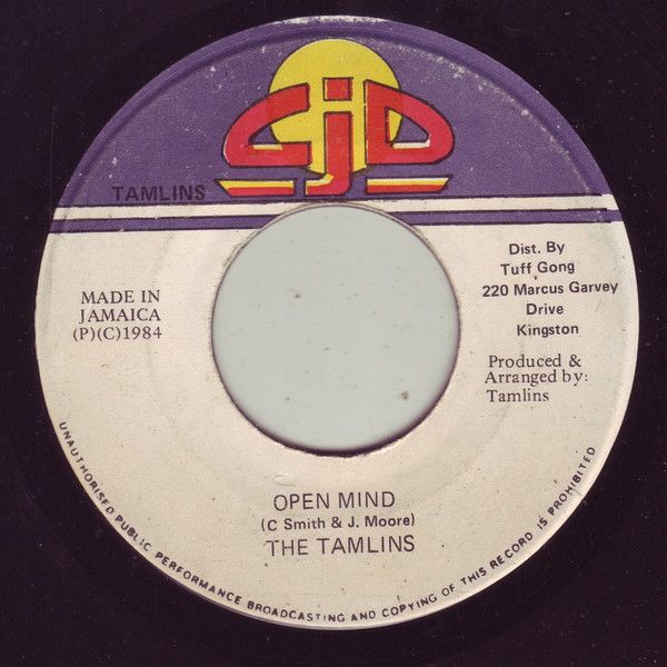 7” Tamlins Open Mind NONE CJD /00080