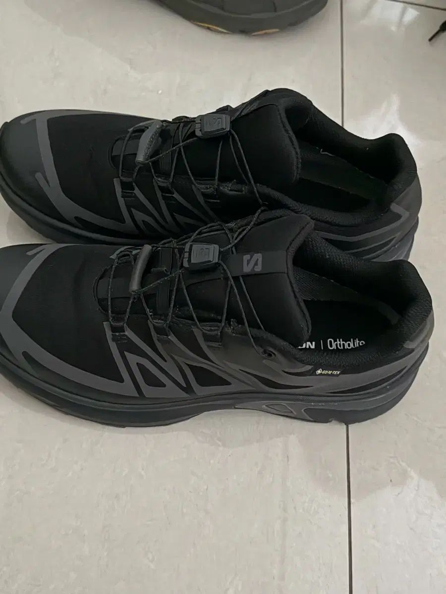 SALOMON サロモン XT-EVR GTX ゴアテックス 250サイズスニーカー