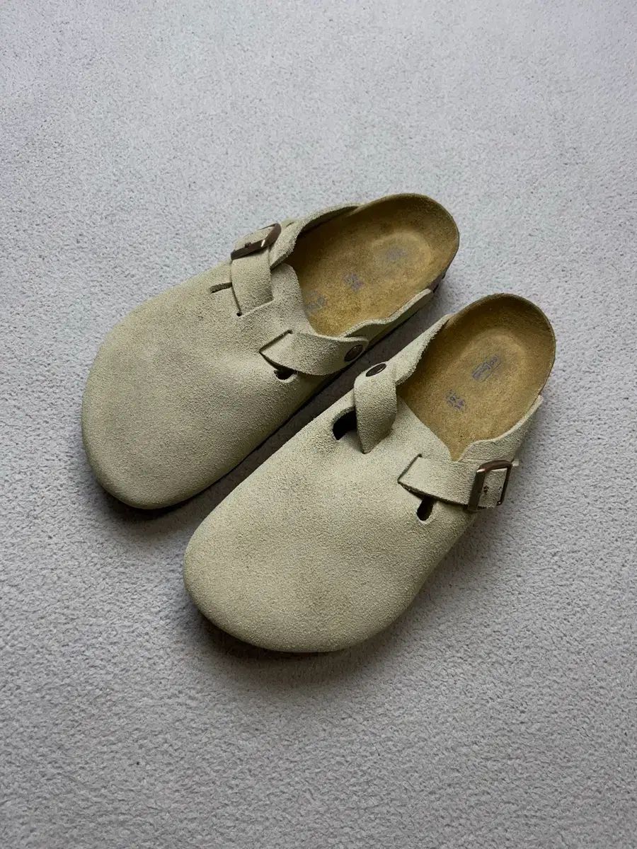 40 BIRKENSTOCK ボストン スウェード -260